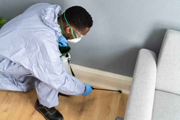 Best Fumigation Services  in Zelienople, PA